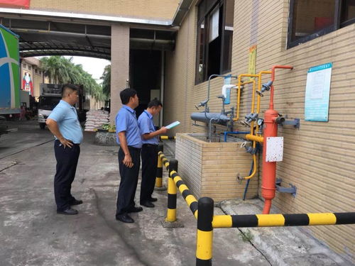 区街联动，筑牢安全防线 开展危险化学品企业安全生产专项检查