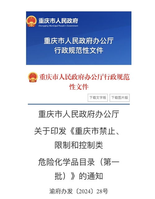 严管生产储存使用，重庆发布首批危险化学品“禁限控”目录