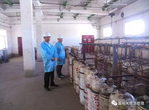 嘉峪关市应急管理局开展“十一”期间危化品生产企业安全生产暗查行动